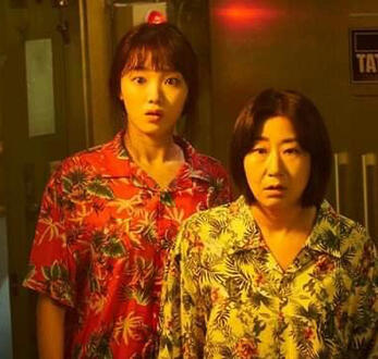 miss & mrs cops